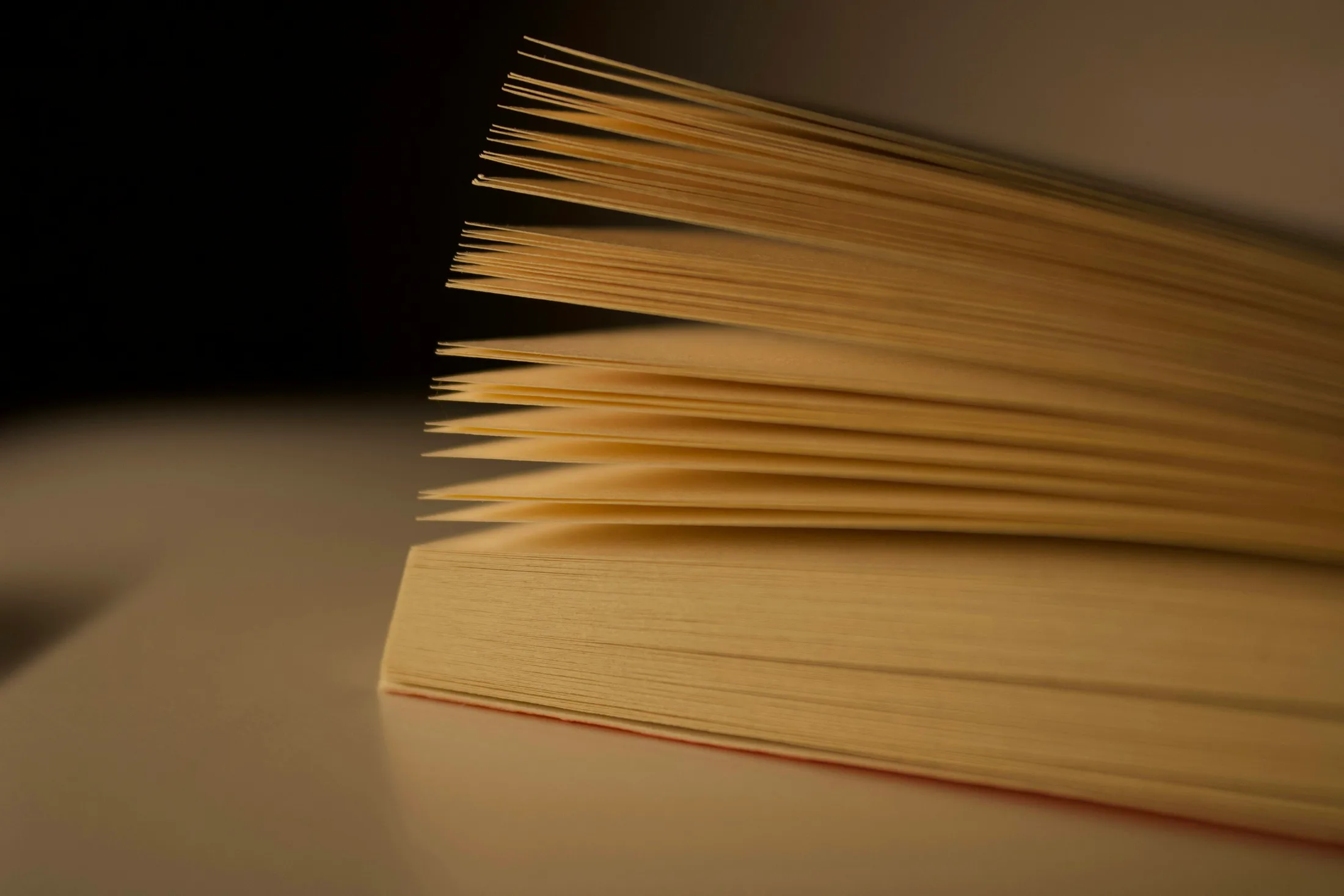 Loş ışıkta yelpaze gibi açılmış kitap sayfaları